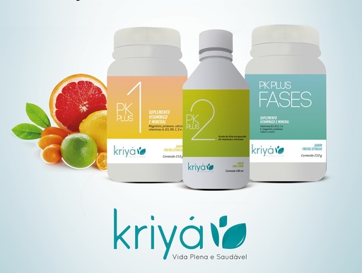 Introdução ao Protocolo Kriyá